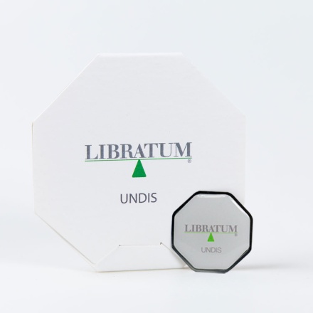 undis_conf_album_1574518399