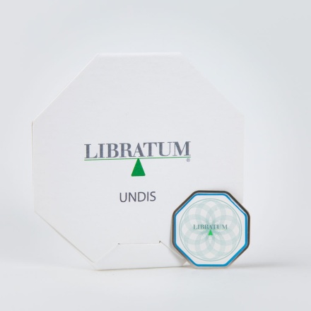 undis_conf_indicum_1459177794